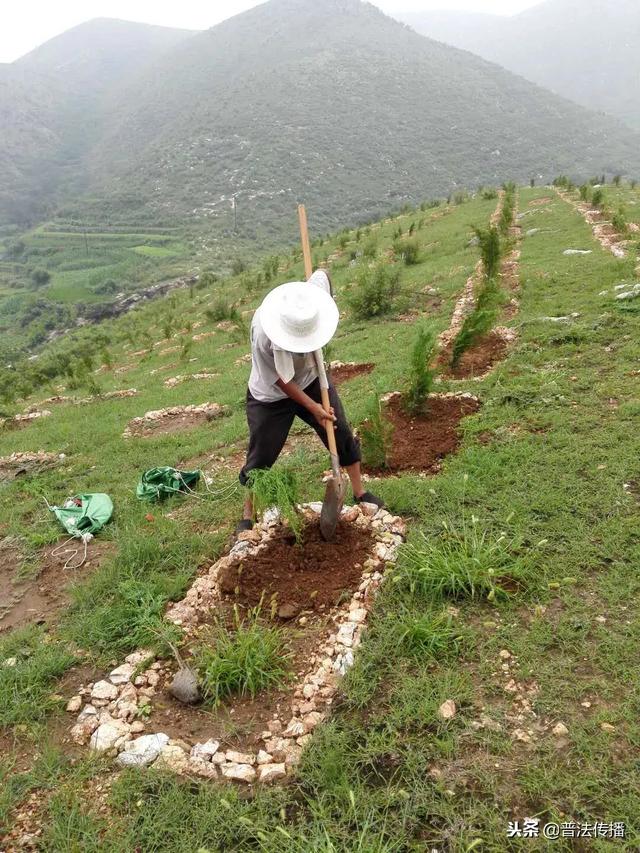 生態扶貧譜新篇——記活躍在唐堯大地上的脫貧攻堅造林專業隊