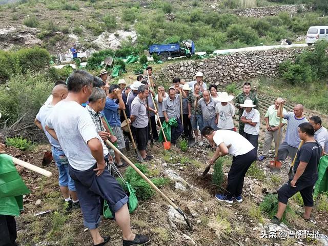 生態扶貧譜新篇——記活躍在唐堯大地上的脫貧攻堅造林專業隊