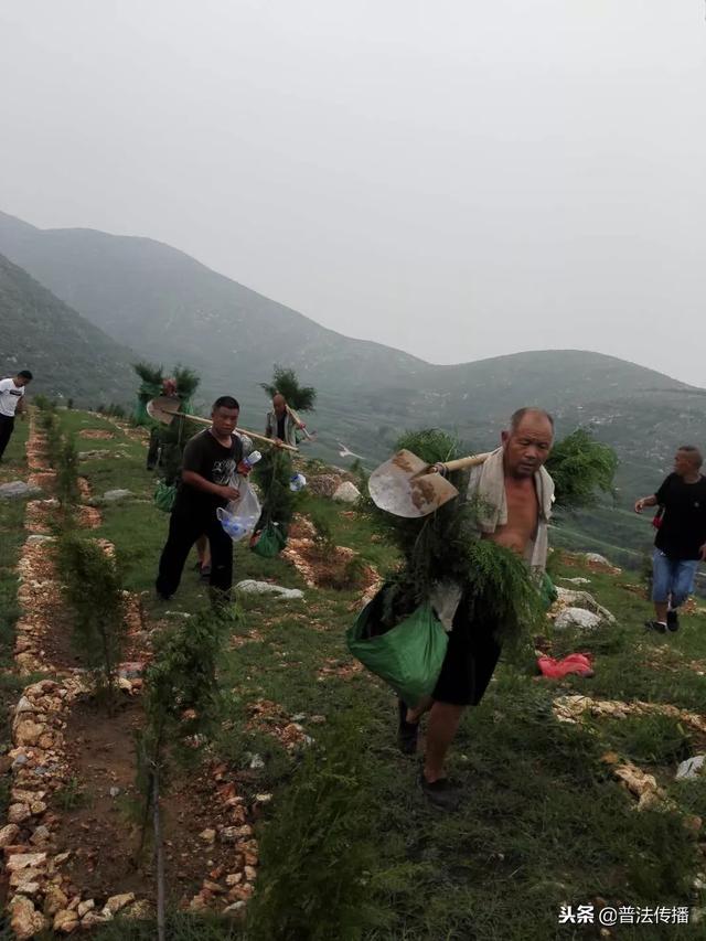 生態扶貧譜新篇——記活躍在唐堯大地上的脫貧攻堅造林專業隊