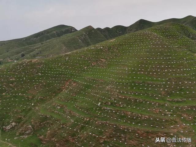 生態扶貧譜新篇——記活躍在唐堯大地上的脫貧攻堅造林專業隊