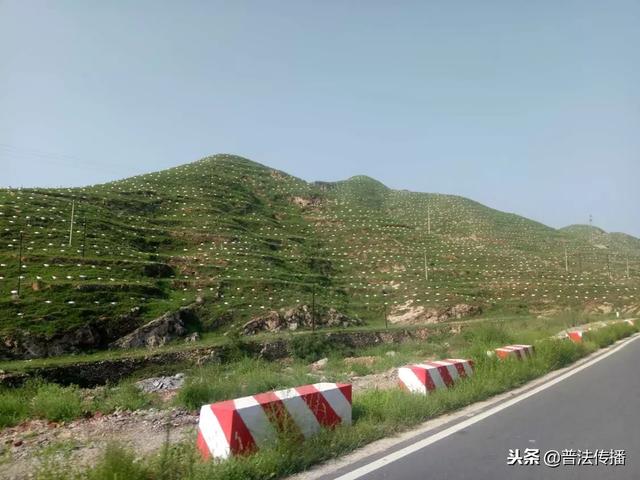 生態扶貧譜新篇——記活躍在唐堯大地上的脫貧攻堅造林專業隊