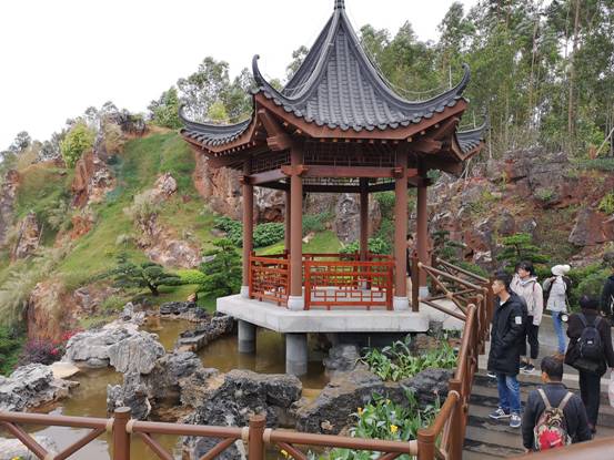 峰程7080集體翹班只為看第十二屆中國(南寧)國際園林博覽會 (5)