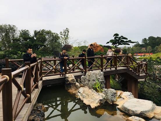 峰程7080集體翹班只為看第十二屆中國(南寧)國際園林博覽會 (6)