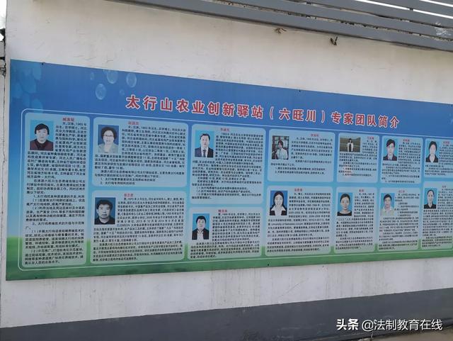 大山作證 縣領(lǐng)導(dǎo)攜生態(tài)農(nóng)業(yè)企業(yè)為柴雞蛋正名