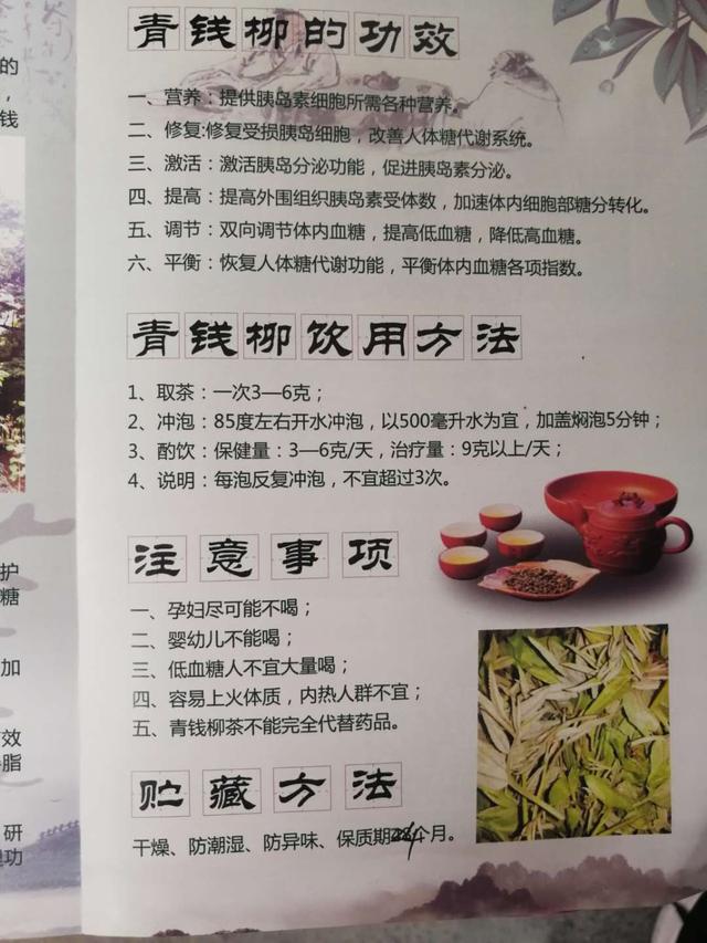 青錢柳開發專業合作社的青錢柳茶很沁人