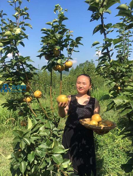 QQ截圖20190821110408.jpg