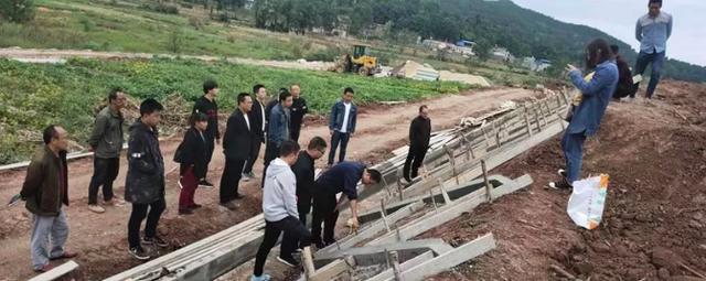 馮店鎮：三條“支部共建”線勾畫鄉村振興藍圖