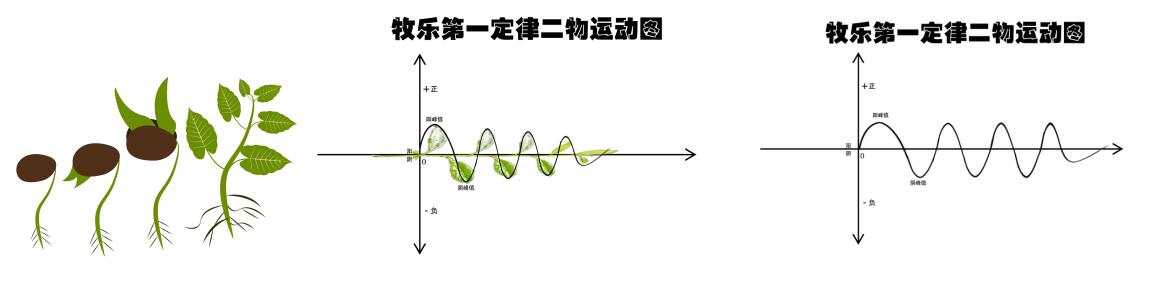 關于宇宙形狀、空間、時間、生命體的討論與五個猜想