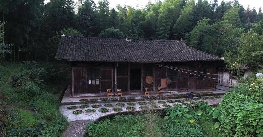 華祥龍茶業創始人——中國茶癡董紹林