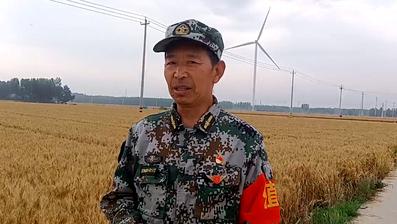 搶夏收麥歸倉  好政策水入田—記山東德州寧津縣王吏目村小農(nóng)水工程