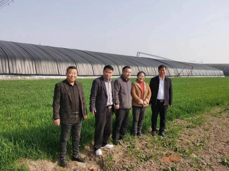 助力鄉村振興，碳氫核肥落地淮南項目座談會在淮南市舉行